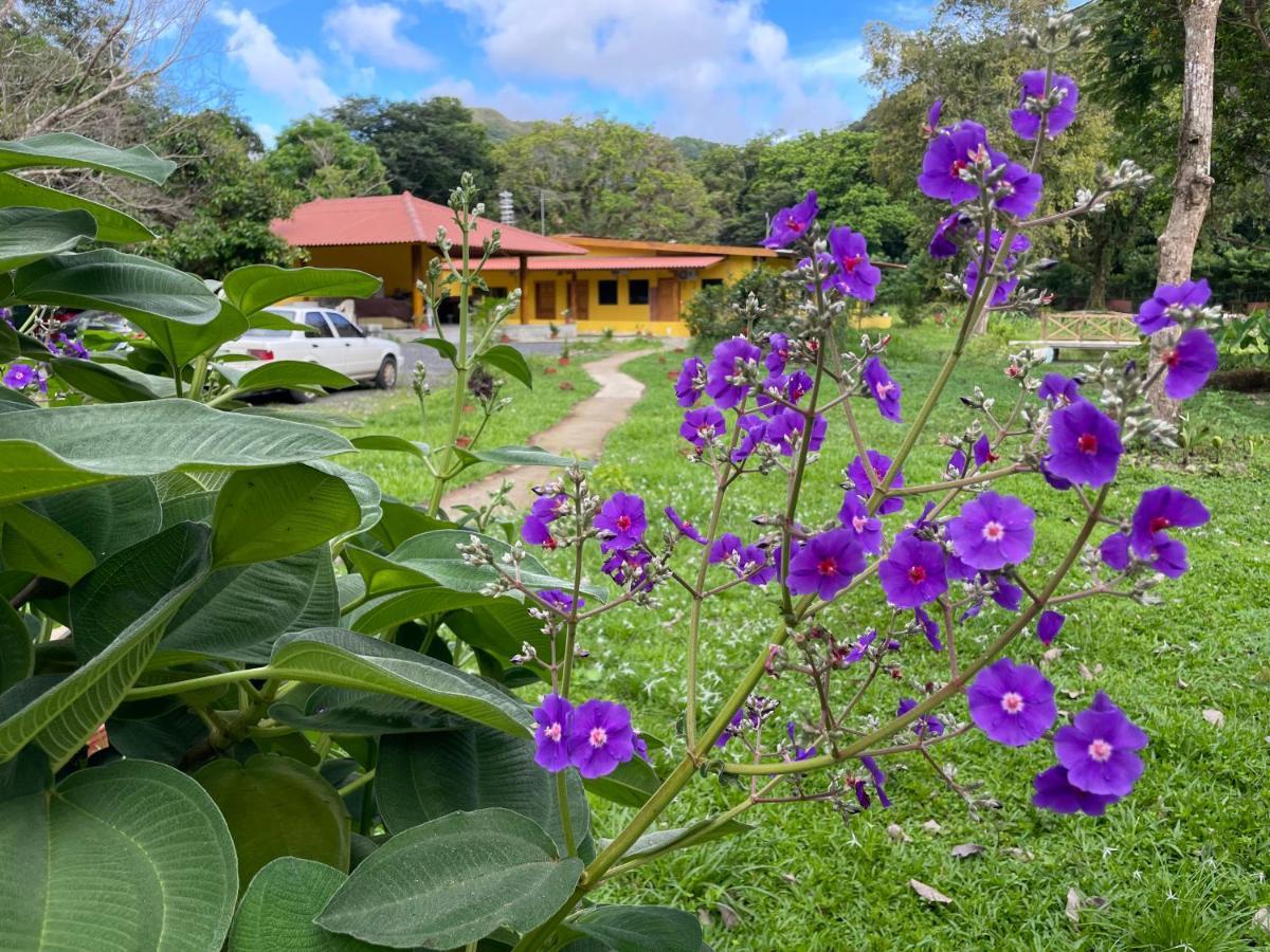 El Valle Resort & Spa - Aguas Termales El Valle de Anton Екстериор снимка